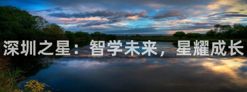 杏悦app下载：深圳之星：智学未来，星耀成长