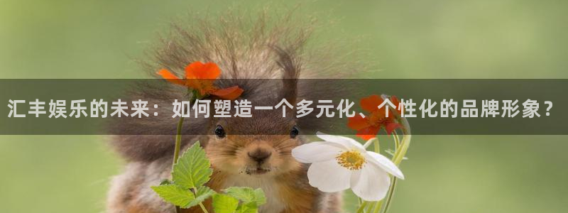杏悦app：汇丰娱乐的未来：如何塑造一个多元化、个性化的品牌形象？