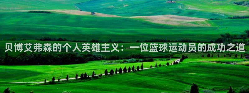 壹号平台注册链接官网下载：贝博艾弗森的个人英雄主义：一位篮球运动员的成功之道