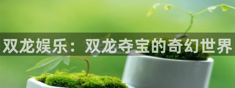杏悦app网页入口：双龙娱乐：双龙夺宝的奇幻世界