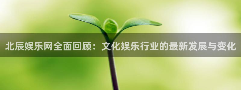 杏悦app最新版怎么下载苹果：北辰娱乐网全面回顾：文化娱乐行业的最新发展与变化