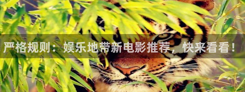 杏悦,com：严格规则：娱乐地带新电影推荐，快来看看！