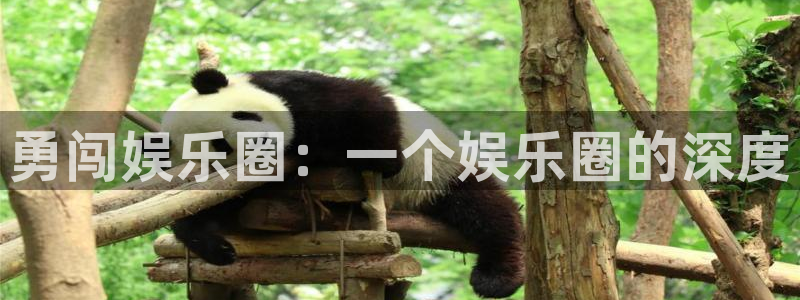 杏悦app下载安装：勇闯娱乐圈：一个娱乐圈的深度