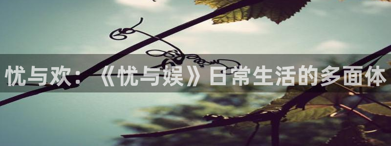 壹号app下载苹果：忧与欢：《忧与娱》日常生活的多面体