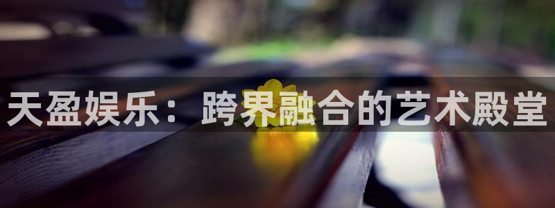 杏悦app官网下载：天盈娱乐：跨界融合的艺术殿堂