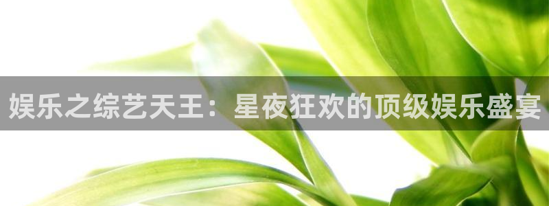 壹号大舞台官网入口：娱乐之综艺天王：星夜狂欢的顶级娱乐盛宴