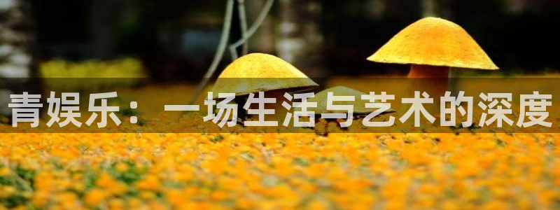 杏悦网址：青娱乐：一场生活与艺术的深度