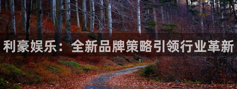 壹号大舞台官网入口：利豪娱乐：全新品牌策略引领行业革新