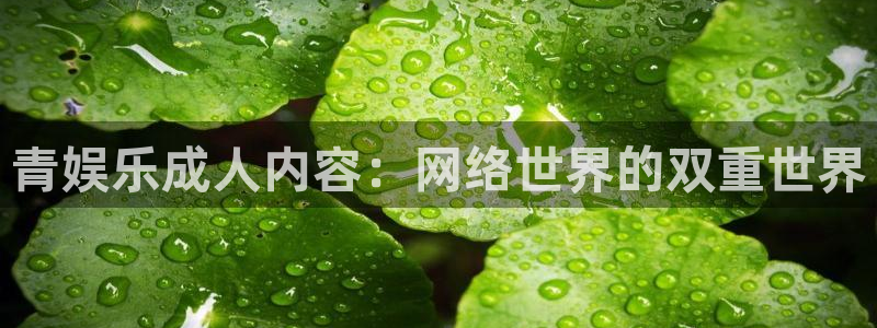 杏悦app最新版怎么下载苹果：青娱乐成人内容：网络世界的双重世界