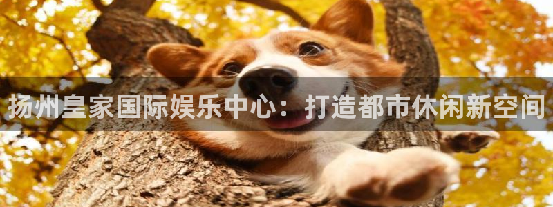杏悦app下载：扬州皇家国际娱乐中心：打造都市休闲新空间